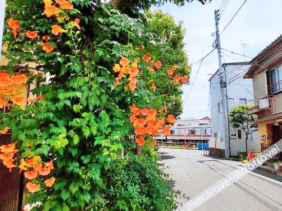 Apartment  Funabashi