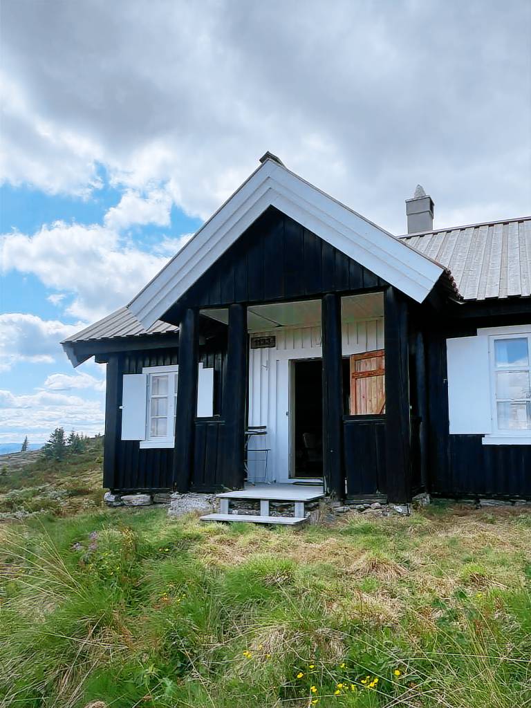 Ferienhaus mit Hund in Ål, Norwegen fuer max. 8 Personen
