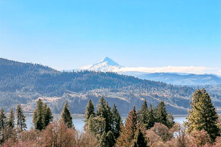 Grandview - Fully Updated! Hot Tub, River, Gorge, Mt Hood Views, Quiet White Salmon — photo 4