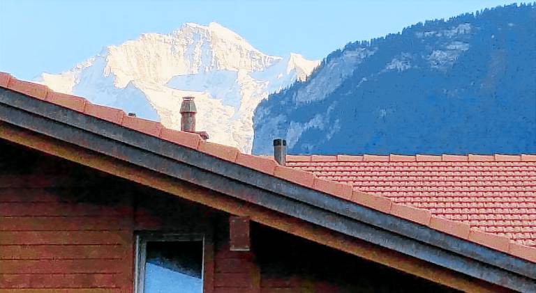 Pleasant apartment | Pets allowed in Unterseen