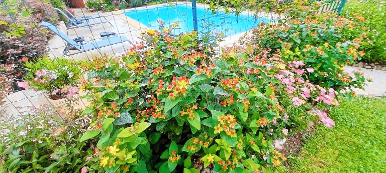 Vacation home with private pool, garden & patio | Pool view — photo 5