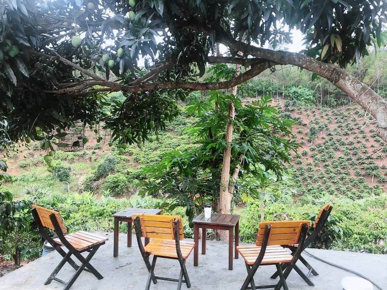 OVi farmstay Đà Lạt — photo 3