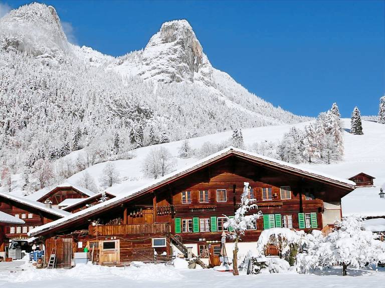 Ferienwohnung Boltigen