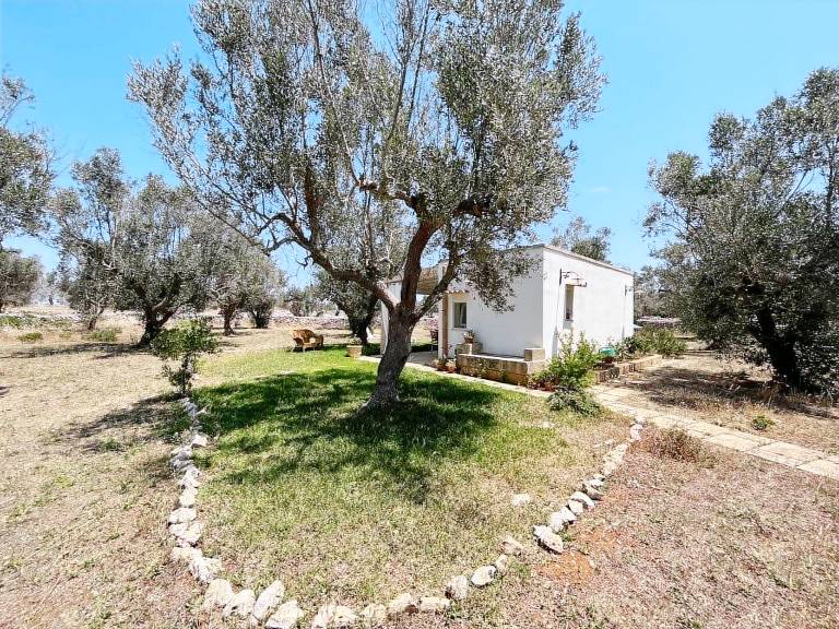 Farm with yard — photo 4
