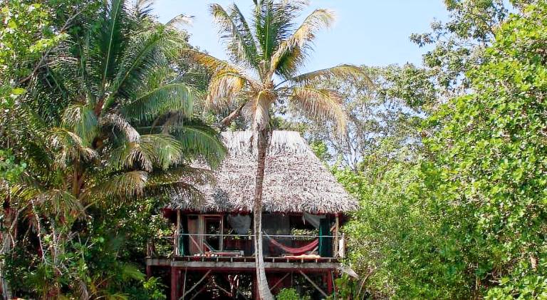 Al Natural Resort — photo 3