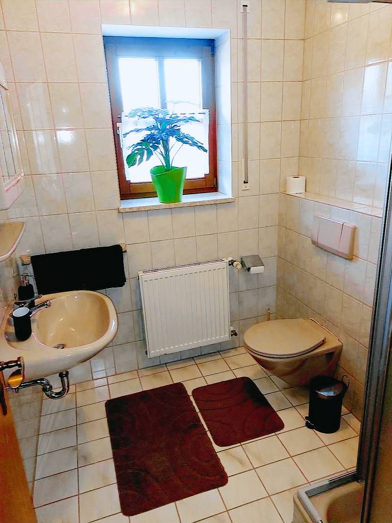 foto4