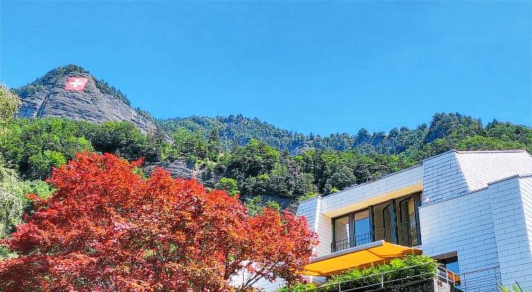 Holiday apartment with 3 rooms for 6 persons in Vitznau