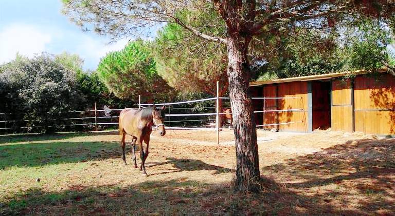 Charming farm with pool, terrace & yard | Pets allowed — photo 5