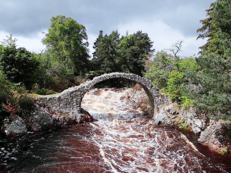 Cottage Carrbridge