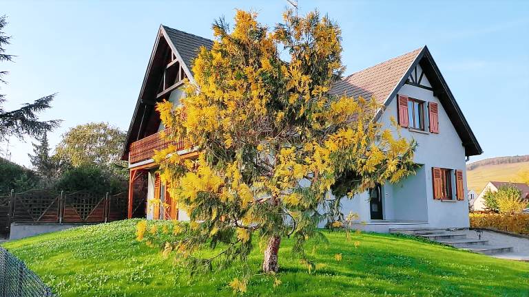 Maison de vacances Beblenheim