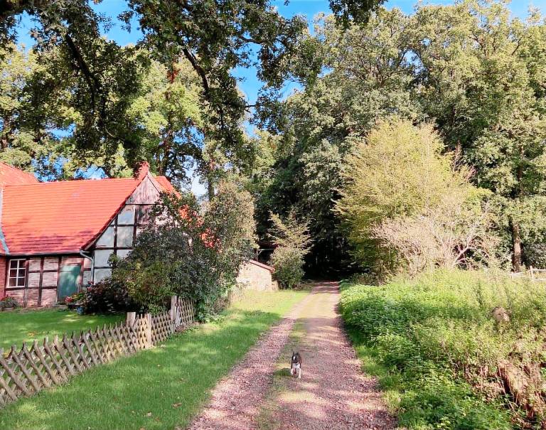 Sch&ouml;nes Ferienhaus in Brochterbeck mit Garten