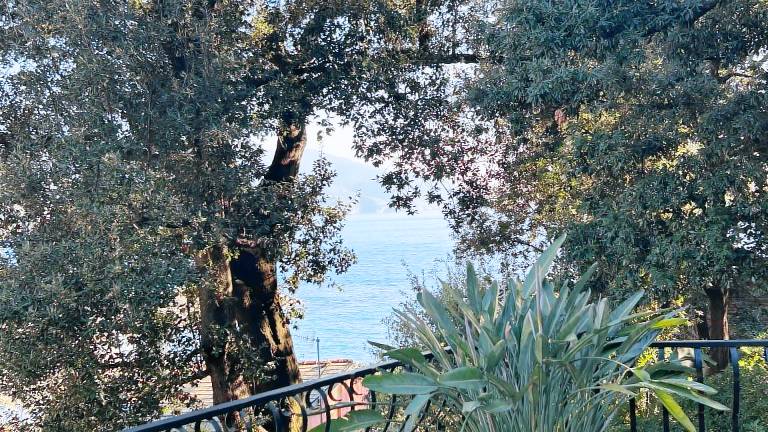 Ferienwohnung Cinque Terre