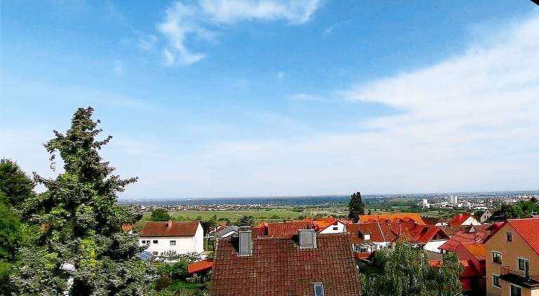 foto16