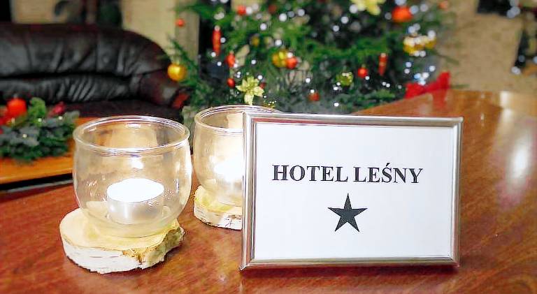 Hotel Lesny — photo 2