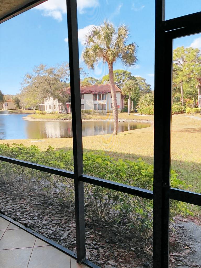 Condo Bradenton