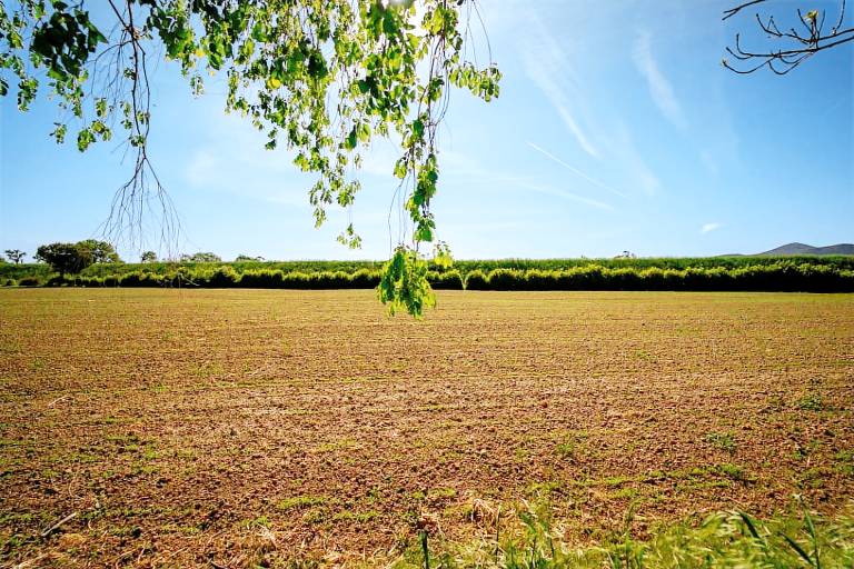 Boerderij Grosseto