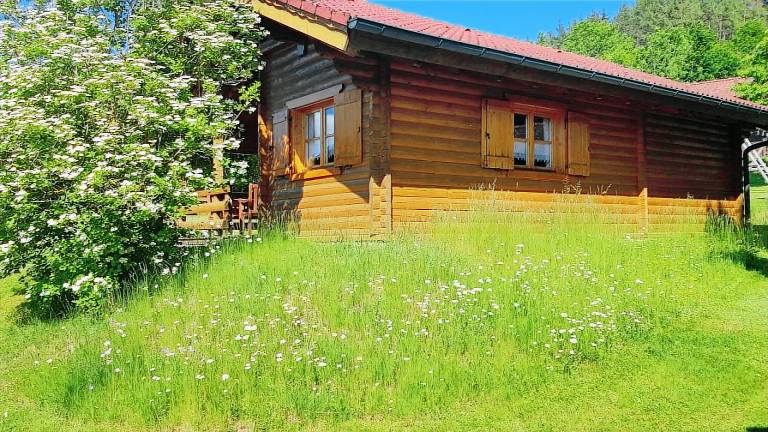 Ferienhaus  Stamsried