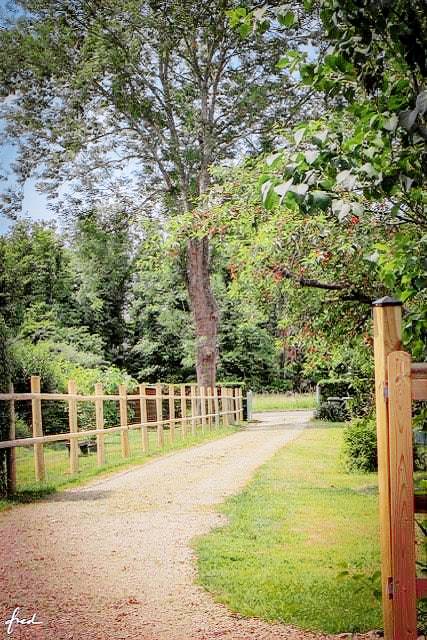 House with terrace, garden & barbeque — photo 4