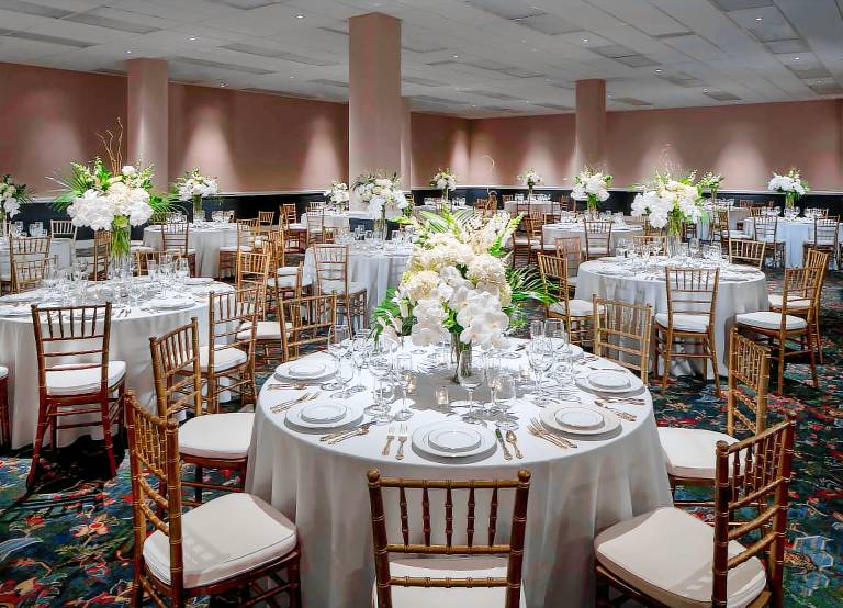 Graduate by Hilton Fayetteville, AR — photo 4