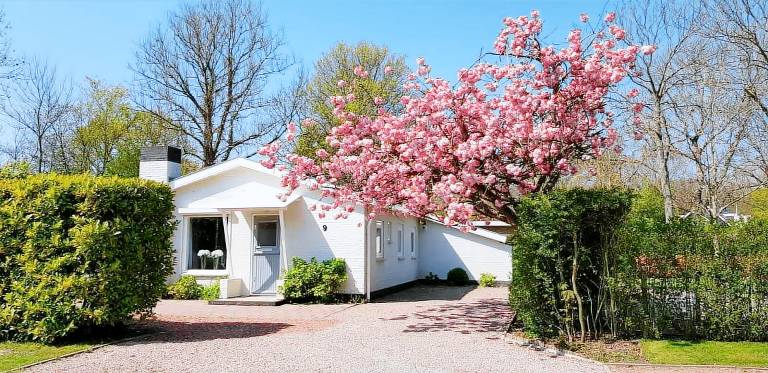 Bungalow  Aagtekerke
