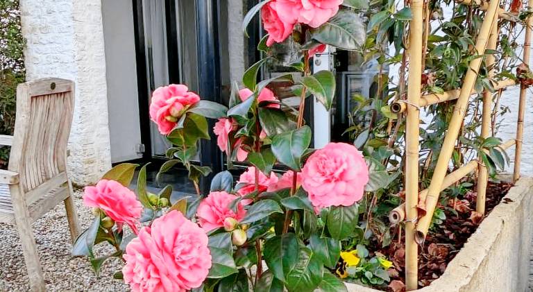 85 m&sup2; Ferienwohnung