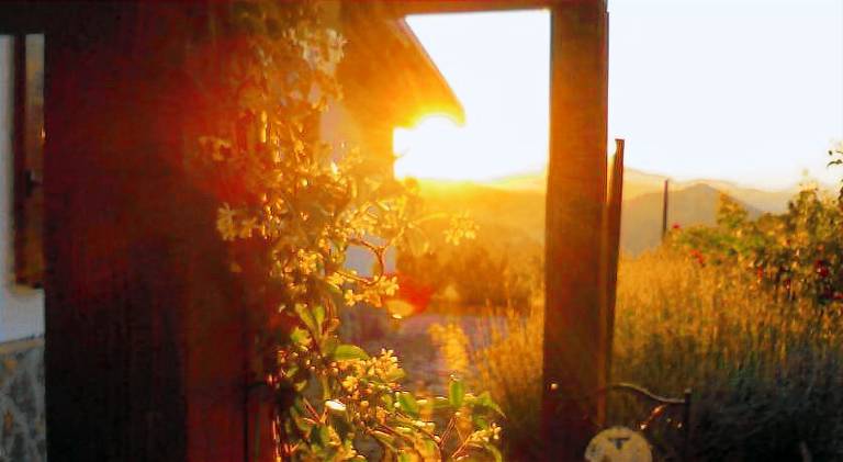 Wild Orchard Farm — photo 3