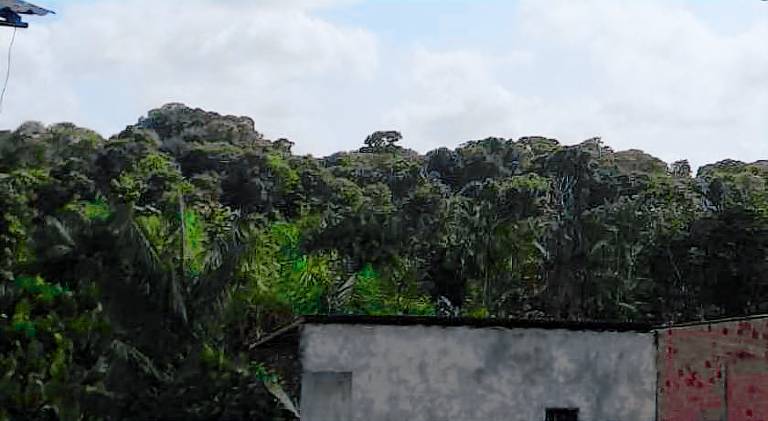 Vacation home with 2 rooms for 6 persons — photo 4