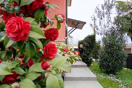 Appartamento Seriate