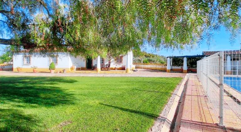 House with jacuzzi & pool | Pets are welcome — photo 4
