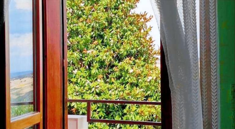 La Magnolia sul Lago — photo 3