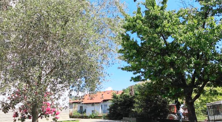 Holiday apartment with 1 room for 4 persons — photo 3