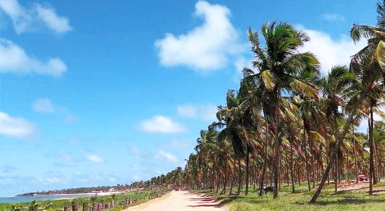 Holiday apartment | Close to the beach | Dogs allowed — photo 5