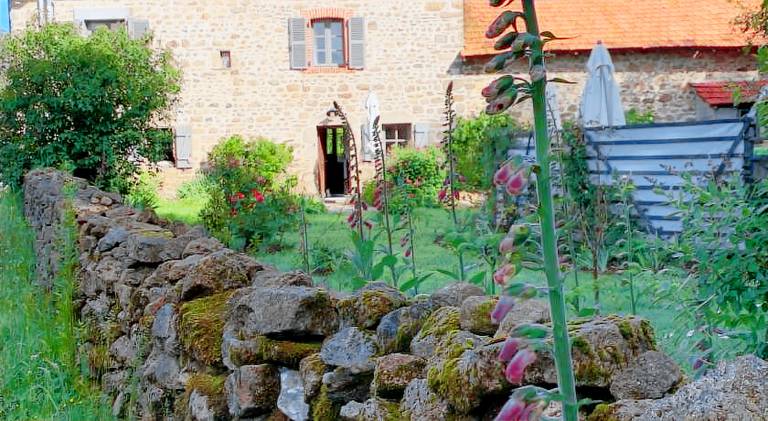 Lavande in Gueret