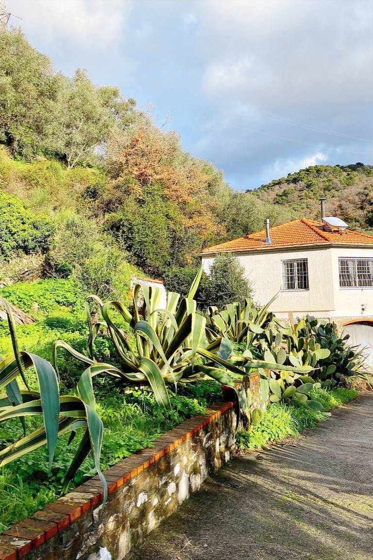 House with barbecue, yard & terrace | Mountain view — photo 4