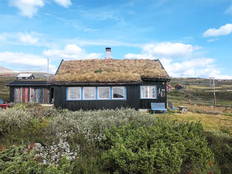 Hytte Geilo
