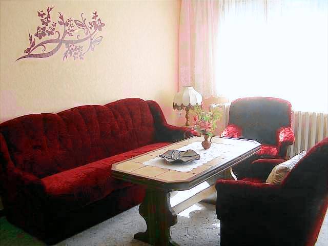 foto2