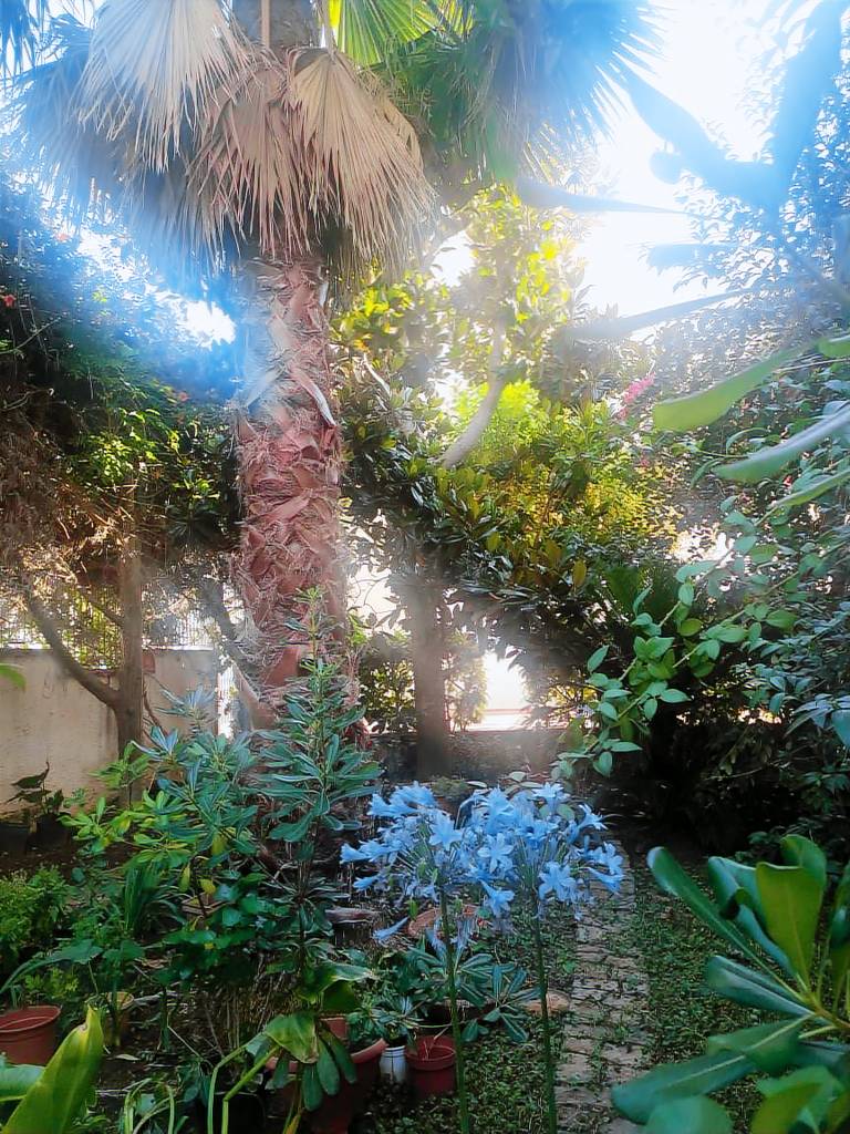 La Magnolia villa vacanze a Specchiolla in Carovigno
