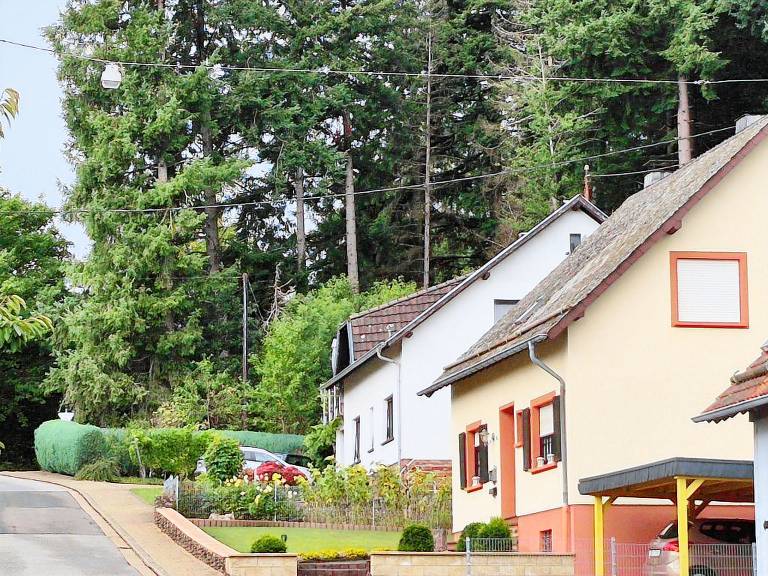 Ferienwohnung Weiskirchen