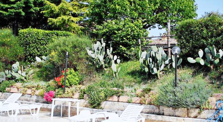 Farm with pool, garden & patio | Pet-friendly — photo 5