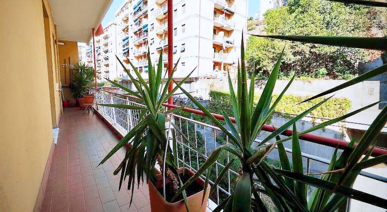 Nice rental apartment | Pet-friendly — photo 4