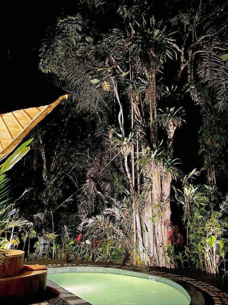 Wonderful villa with pool | Dogs allowed in Karangasem