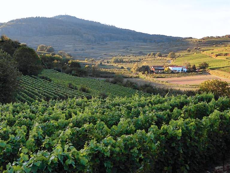 Ferienwohnung Bahlingen am Kaiserstuhl