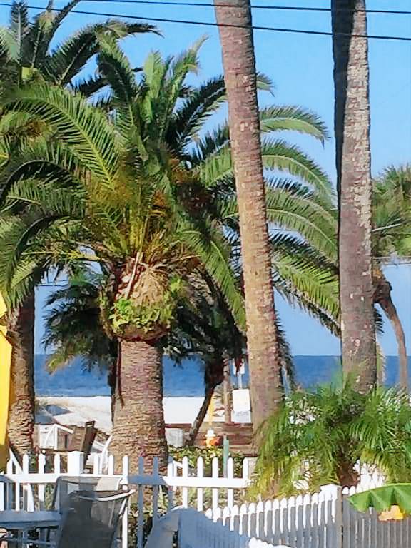 House Clearwater Beach