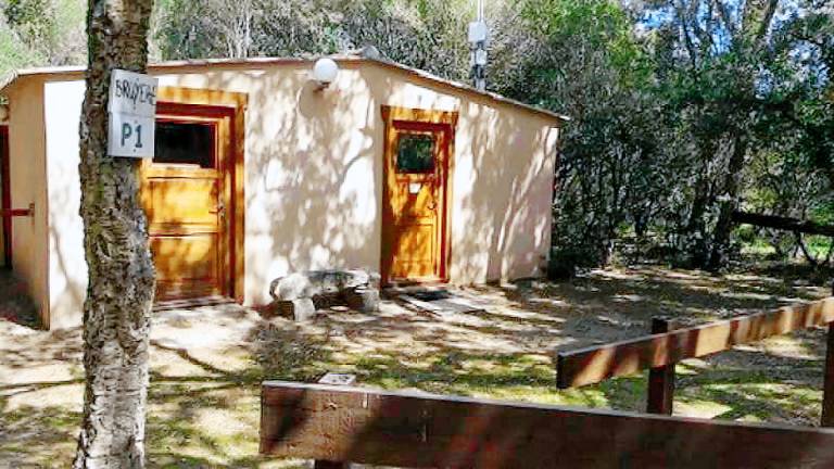 Bed and breakfast with BBQ & pool — photo 2