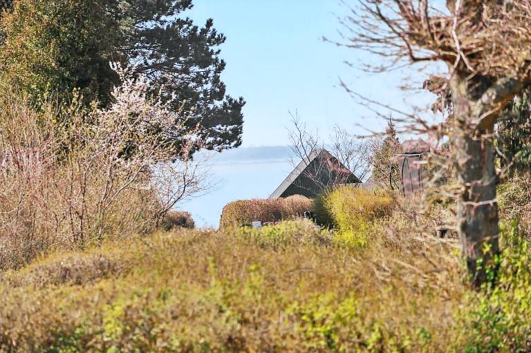 Ferienhaus mit Hund inVordingborg Kommune, Seeland Seeland f&uuml;r max. 4 Personen