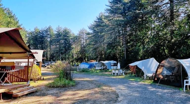 Camping Siesta — photo 4