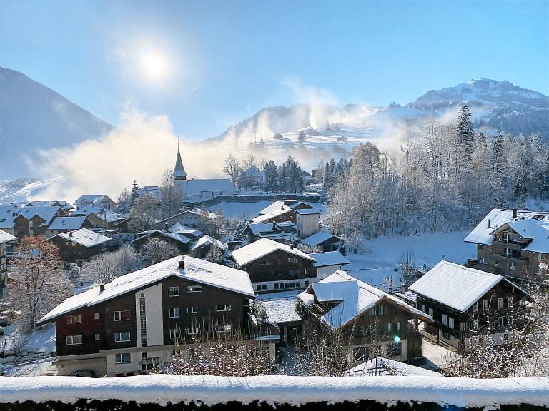 Apartment Zweisimmen