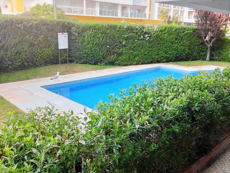 Apartment with yard & pool — photo 2