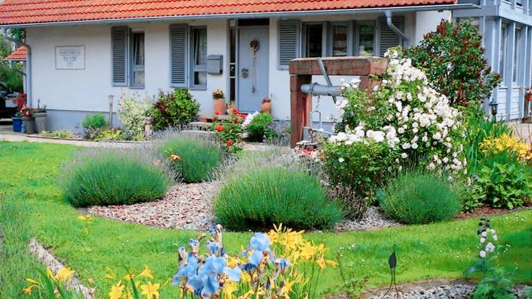 Ferienwohnung  Ringsheim