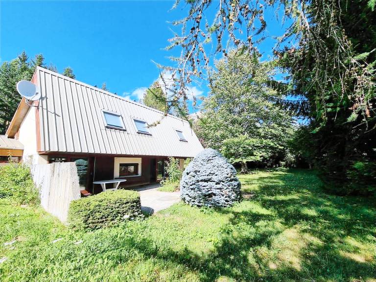 Chalet Saint-Bonnet-en-Champsaur
